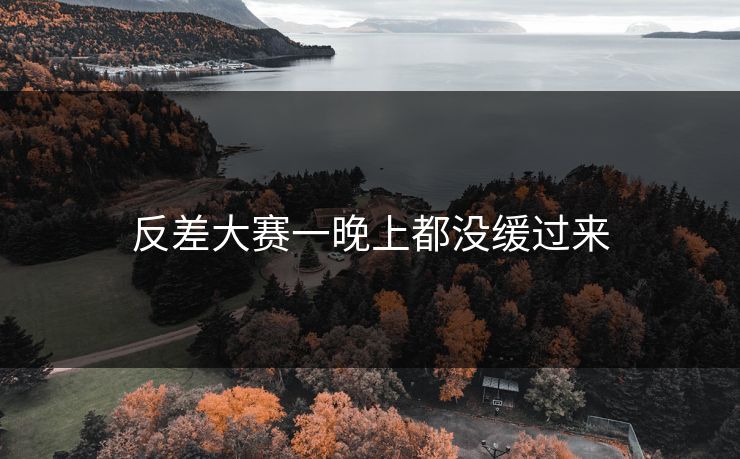 反差大赛一晚上都没缓过来