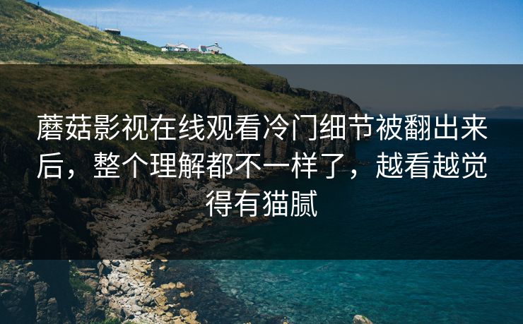 蘑菇影视在线观看冷门细节被翻出来后，整个理解都不一样了，越看越觉得有猫腻