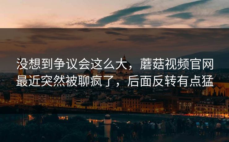 没想到争议会这么大，蘑菇视频官网最近突然被聊疯了，后面反转有点猛