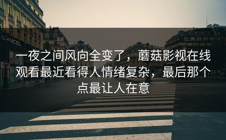 一夜之间风向全变了，蘑菇影视在线观看最近看得人情绪复杂，最后那个点最让人在意