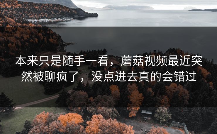 本来只是随手一看，蘑菇视频最近突然被聊疯了，没点进去真的会错过