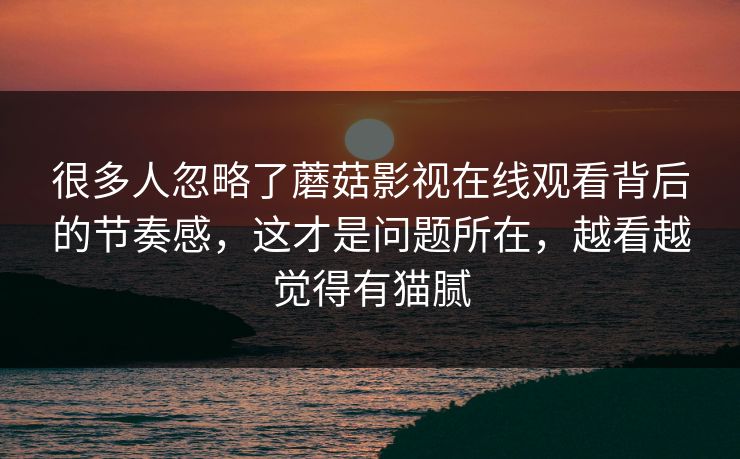 很多人忽略了蘑菇影视在线观看背后的节奏感，这才是问题所在，越看越觉得有猫腻