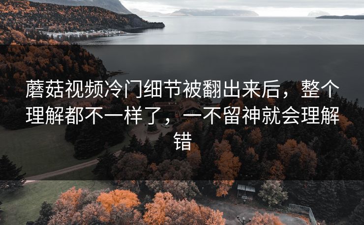 蘑菇视频冷门细节被翻出来后，整个理解都不一样了，一不留神就会理解错