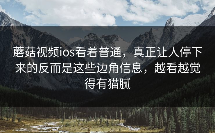 蘑菇视频ios看着普通，真正让人停下来的反而是这些边角信息，越看越觉得有猫腻