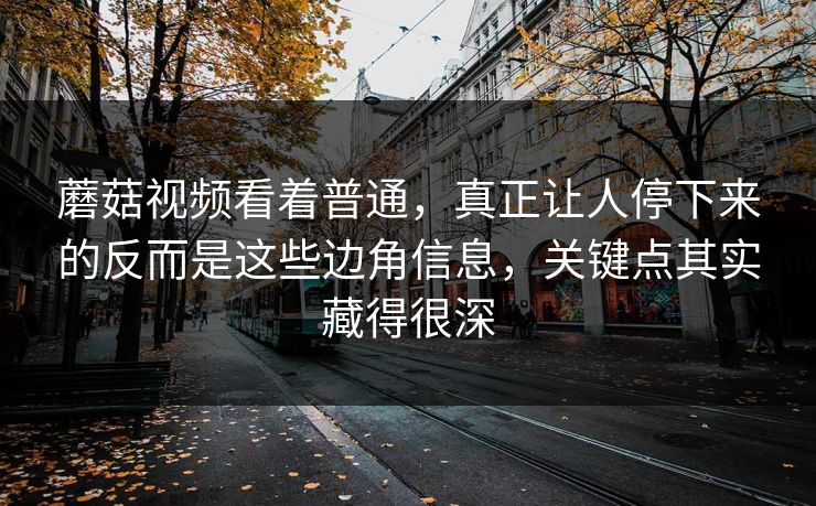 蘑菇视频看着普通，真正让人停下来的反而是这些边角信息，关键点其实藏得很深