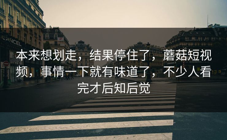 本来想划走，结果停住了，蘑菇短视频，事情一下就有味道了，不少人看完才后知后觉