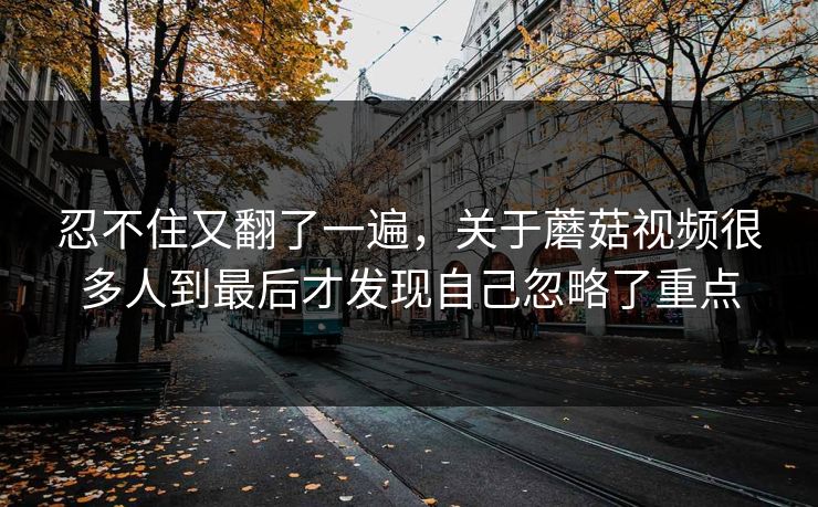 忍不住又翻了一遍，关于蘑菇视频很多人到最后才发现自己忽略了重点