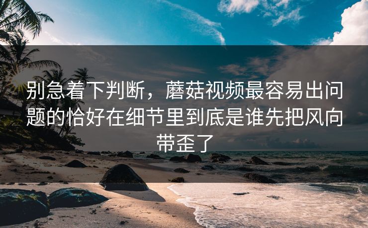别急着下判断，蘑菇视频最容易出问题的恰好在细节里到底是谁先把风向带歪了