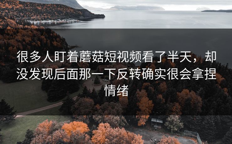 很多人盯着蘑菇短视频看了半天，却没发现后面那一下反转确实很会拿捏情绪