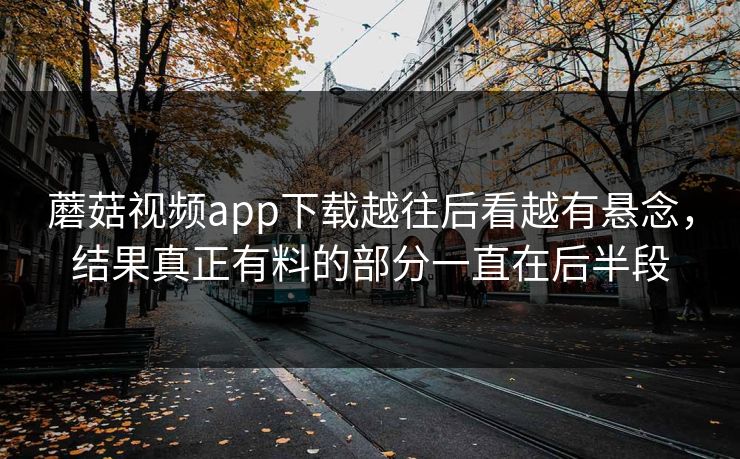 蘑菇视频app下载越往后看越有悬念，结果真正有料的部分一直在后半段