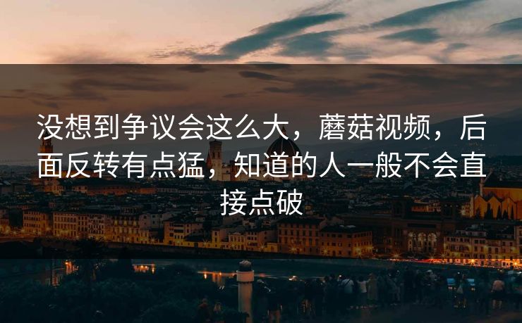 没想到争议会这么大，蘑菇视频，后面反转有点猛，知道的人一般不会直接点破