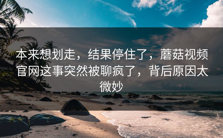 本来想划走，结果停住了，蘑菇视频官网这事突然被聊疯了，背后原因太微妙