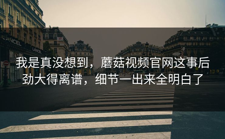 我是真没想到，蘑菇视频官网这事后劲大得离谱，细节一出来全明白了