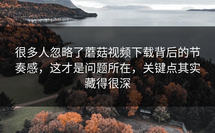 很多人忽略了蘑菇视频下载背后的节奏感,这才是问题所在,关键点其实藏得很深 很多人忽略了蘑菇视频下载背后的节奏感,这才是问题所在,关键点其实藏得很深