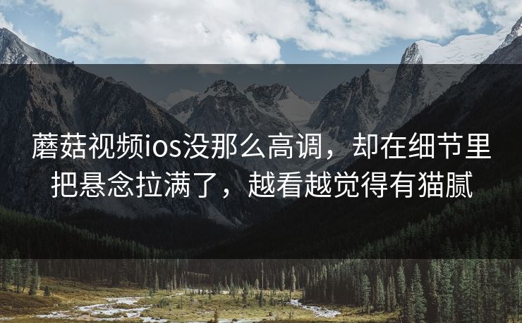 蘑菇视频ios没那么高调，却在细节里把悬念拉满了，越看越觉得有猫腻