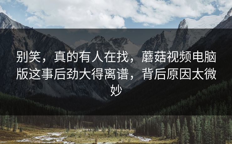 别笑，真的有人在找，蘑菇视频电脑版这事后劲大得离谱，背后原因太微妙