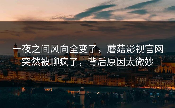 一夜之间风向全变了，蘑菇影视官网突然被聊疯了，背后原因太微妙